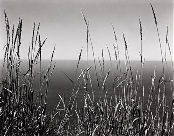 EDWARD WESTON (1886-1958)/COLE WESTON (1919-2003) Edward Weston Portfolio.